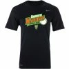 Charlotte Knights Nike Youth Homer Baseball Tee -Jerseys Sales 237863304 CHARLOTTE KNIGHTS MILB67 GARMENT 1