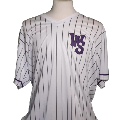 Winston-Salem Dash Official Store Home Tech Tee